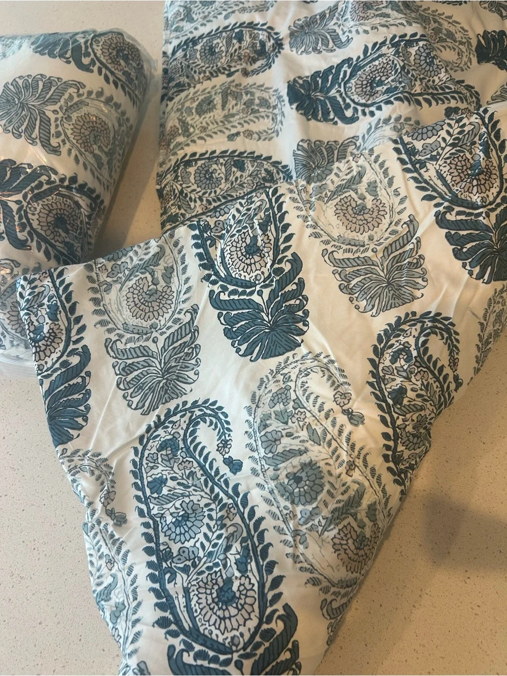 Set of 2 Pottery Barn Keely Paisley Comforter King Pillow Shams